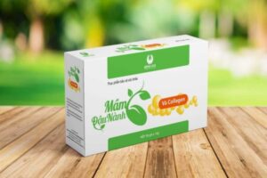 Các mẫu in hộp mầm đậu nành đẹp mắt, uy tín