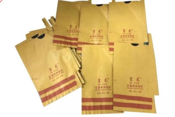 Mẫu túi giấy bao xoài giá rẻ, thiết kế theo yêu cầu