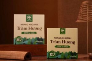 Mẫu hộp đựng nhang vòng chất lượng cao