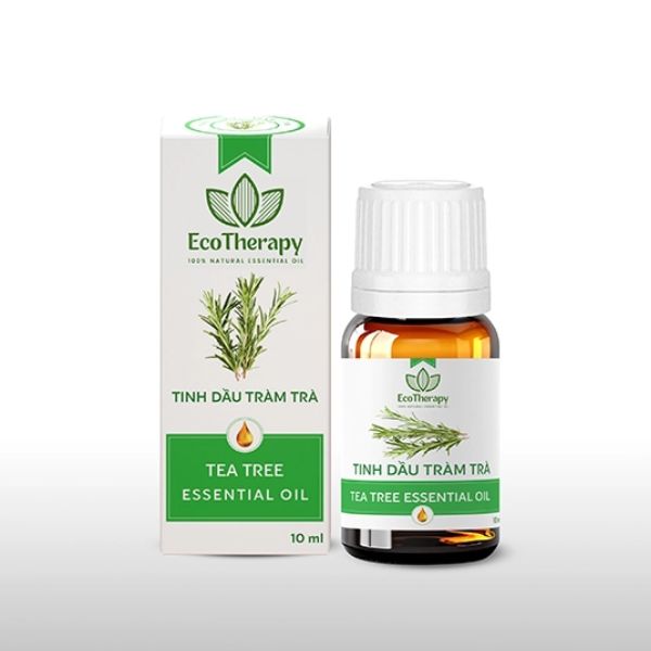 In vỏ hộp tinh dầu tràm đẹp, giá rẻ