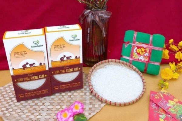 In hộp đựng gạo rươi đẹp, giá rẻ, thiết kế theo yêu cầu