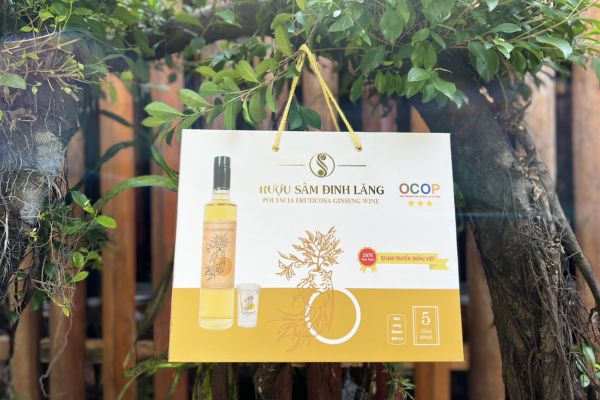 In vỏ hộp rượu đinh lăng giá rẻ, thiết kế theo yêu cầu