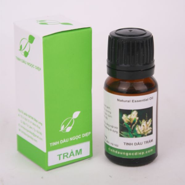 In vỏ hộp tinh dầu tràm đẹp, giá rẻ