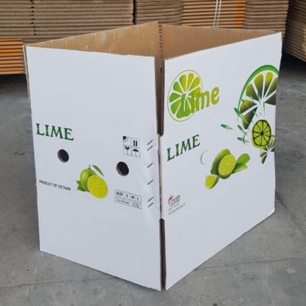 In Hoa Long nhận thiết kế và in thùng carton đựng chanh chất lượng