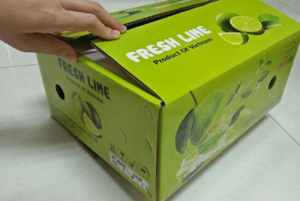 In Hoa Long nhận thiết kế và in thùng carton đựng chanh chuyên nghiệp