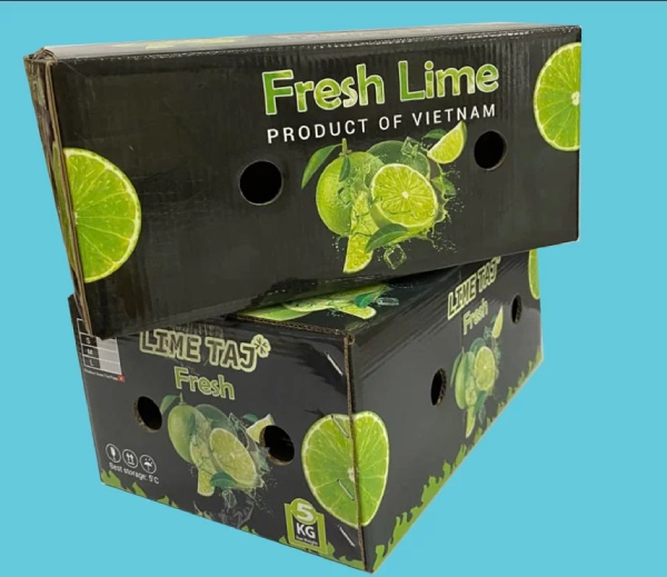 In Hoa Long nhận thiết kế và in thùng carton đựng chanh giá rẻ