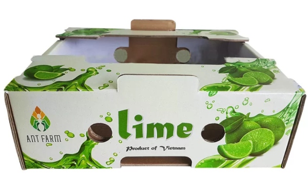 In Hoa Long nhận thiết kế và in thùng carton đựng chanh lấy ngay