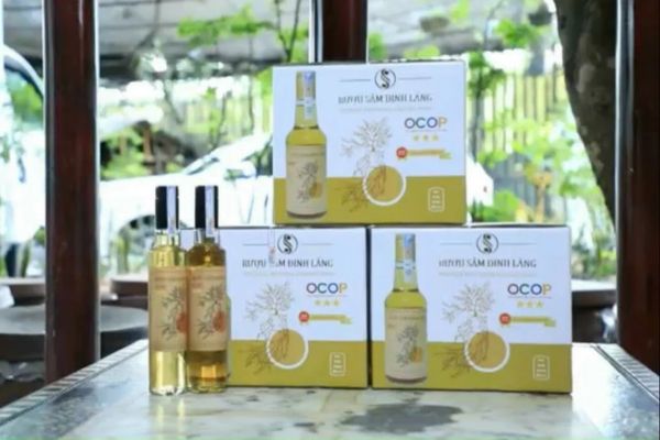 In vỏ hộp rượu đinh lăng giá rẻ, thiết kế theo yêu cầu