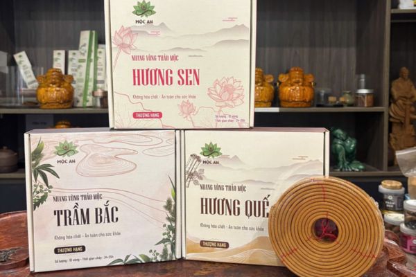Mẫu hộp đựng nhang vòng chất lượng cao