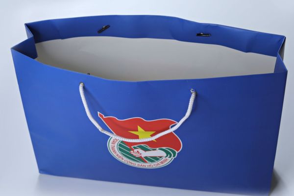 Mẫu túi giấy đoàn tncs giá rẻ, chuyên nghiệp