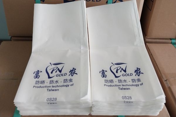 Mẫu túi giấy bao xoài giá rẻ, thiết kế theo yêu cầu