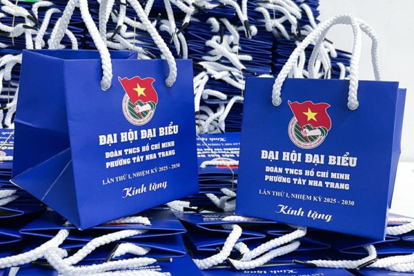 Mẫu túi giấy đoàn tncs giá rẻ, chuyên nghiệp
