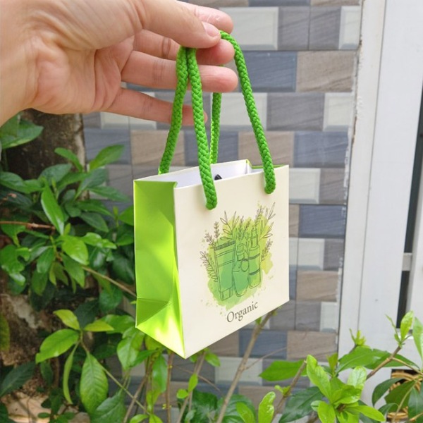 In Hoa Long nhận thiết kế và in ấn mẫu túi giấy mini lấy ngay