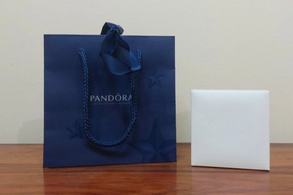 Mẫu túi giấy pandora đẹp mắt