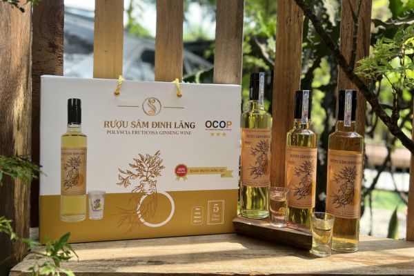In vỏ hộp rượu đinh lăng giá rẻ, thiết kế theo yêu cầu