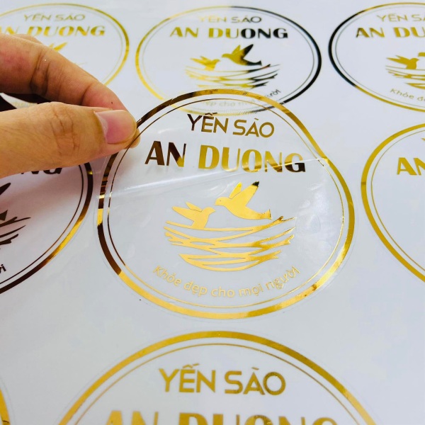In Hoa Long so sánh decal trong và decal mờ về đặc điểm chất liệu