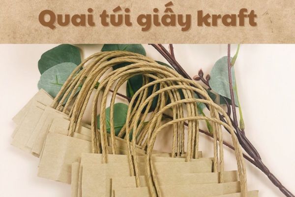 Túi giấy quai xoắn đẹp, giá rẻ