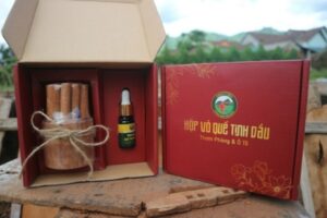 11+ Mẫu hộp vỏ quế tinh dầu thơm mộc mạc, cao cấp