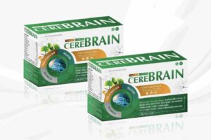 30+ Mẫu hộp giấy đựng Vitamin chuẩn nhận diện uy tín