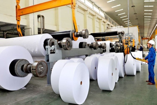 In Hoa Long tìm hiểu về ứng dụng của bột giấy là gì