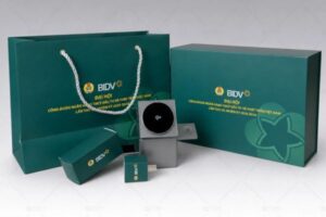 In hộp quà BIDV giá rẻ, chất lượng cao