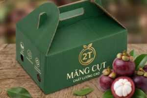 In hộp carton đựng măng cụt tại Hà Nội