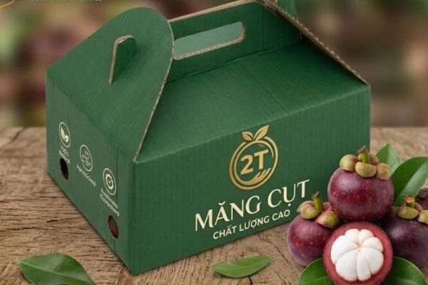 In hộp carton đựng măng cụt tại Hà Nội
