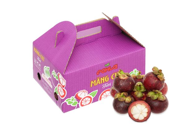 In hộp carton đựng măng cụt tại Hà Nội