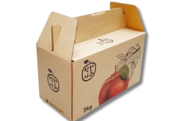 In hộp carton đựng táo giá rẻ, chất lượng cao