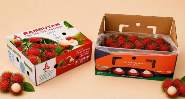 In Hoa Long nhận thiết kế và In thùng carton đựng chôm chôm chất lượng