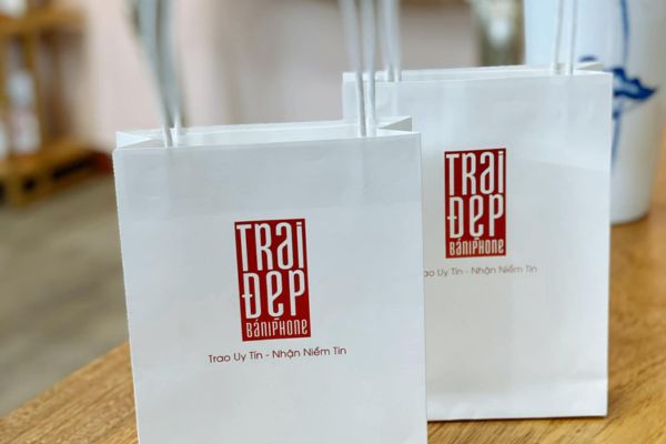 In túi giấy ép nhũ giá rẻ, chất lượng cao