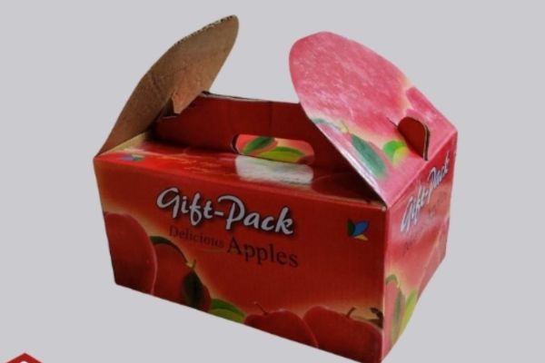 In hộp carton đựng táo giá rẻ, chất lượng cao