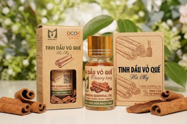Mẫu hộp vỏ quế tinh dầu thơm mộc mạc