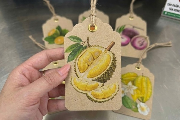 Mẫu in tag trái cây đẹp mắt
