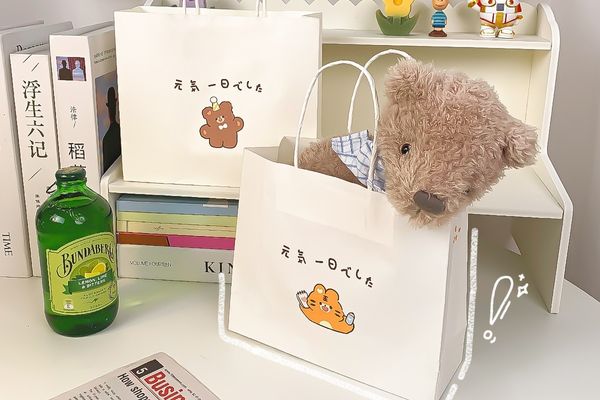 Túi giấy đựng gấu bông giá rẻ, mẫu đẹp