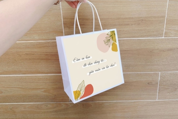 Mẫu túi giấy shopping thời trang ấn tượng