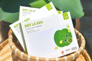 Thư viện mẫu in hộp bột lá sen thanh lịch, đẹp mắt