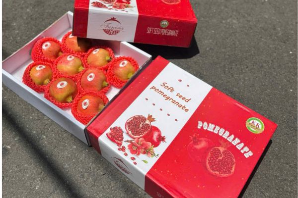 Hộp carton đựng lựu đỏ giá rẻ, mẫu đẹp
