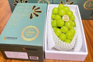Hộp carton đựng nho tươi giá rẻ tại Hà Nội
