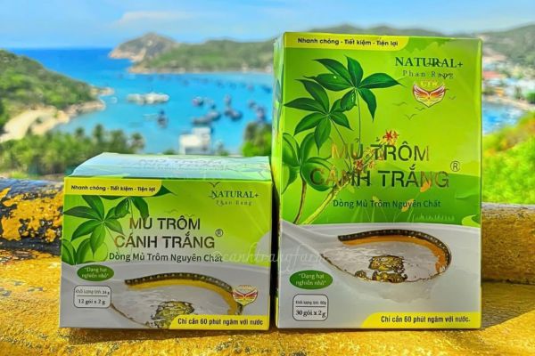 In hộp đựng mủ trôm giá rẻ, chất lượng