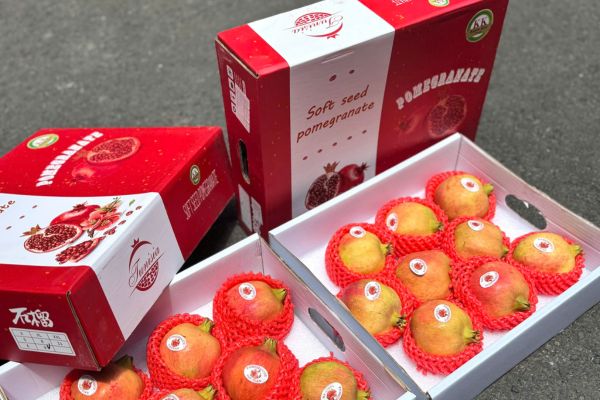 Hộp carton đựng lựu đỏ giá rẻ, mẫu đẹp