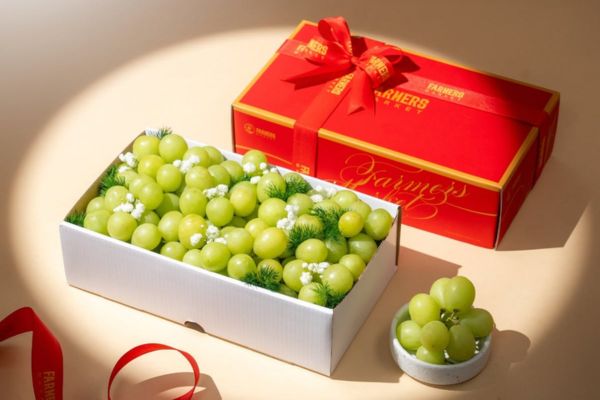 Hộp carton đựng nho tươi giá rẻ tại Hà Nội