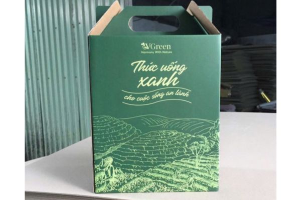 In hộp carton quai xách giá rẻ, mẫu đẹp