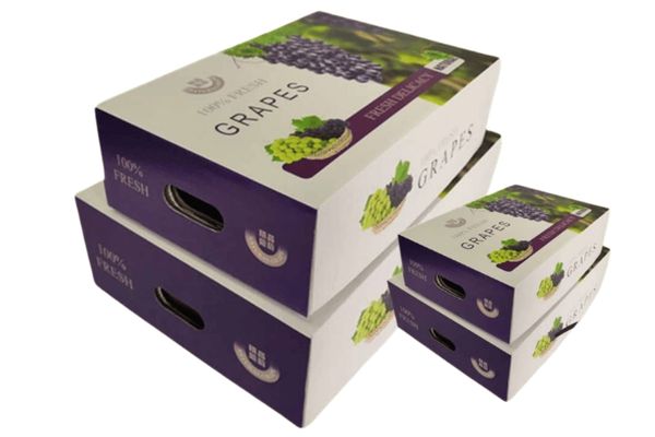 Hộp carton đựng nho tươi giá rẻ tại Hà Nội