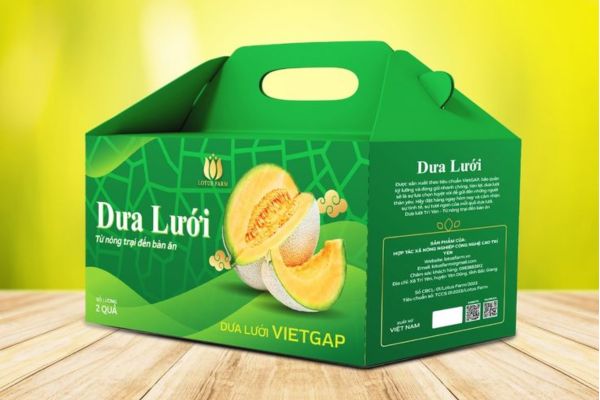 Mẫu hộp giấy đựng hoa quả giá rẻ tại Hà Nội