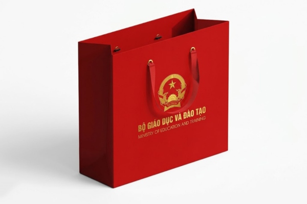 Mẫu túi giấy bộ giáo dục và đào tạo đẹp mắt
