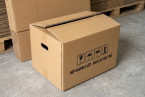 15+ Mẫu hộp carton 5 lớp dày dặn