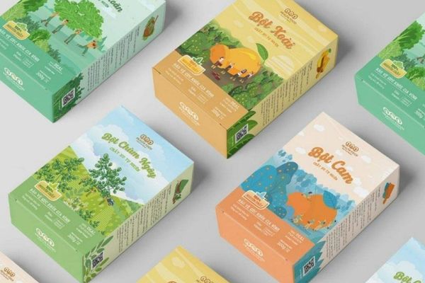 Hộp đựng bột rau củ theo yêu cầu