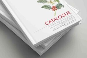 In Hoa Long tìm hiểu về in bìa cứng có ưu điểm là gì