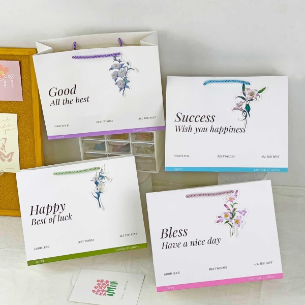 In Hoa Long nhận thiết kế và in ấn túi giấy in offset chuyên nghiệp